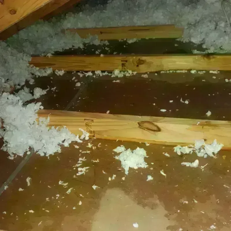 Attic Water Damage in Cerritos, CA