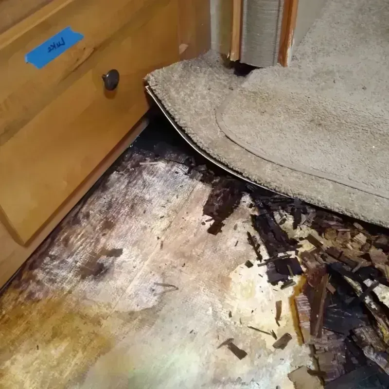 Wood Floor Water Damage in Cerritos, CA